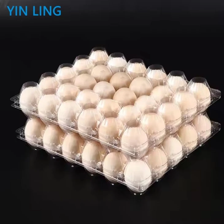 (5)